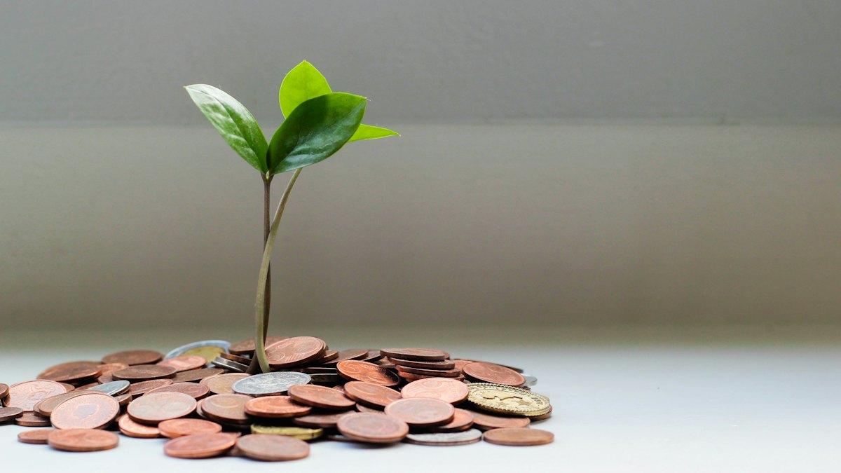cashback semanal